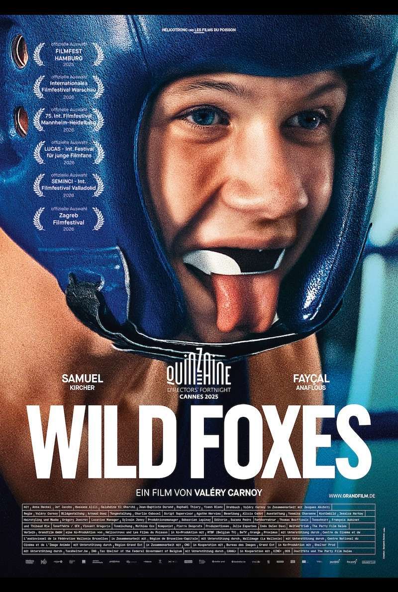 Wild Foxes